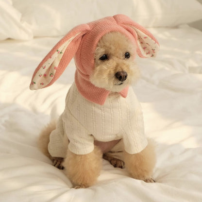 Ozzie pet hat in a natural setting with soft lighting