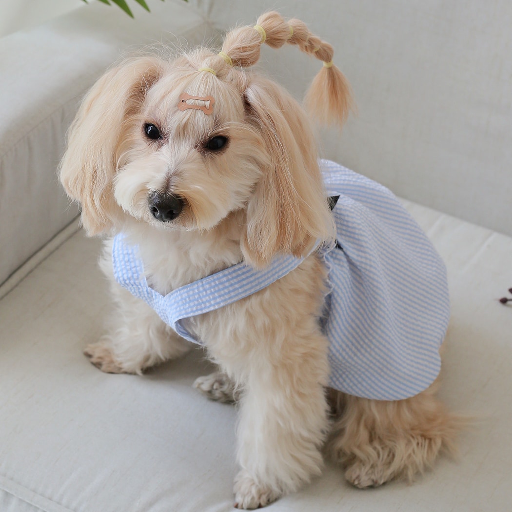 Ozzie - Striped Casual Cat and Dog Pet Dress