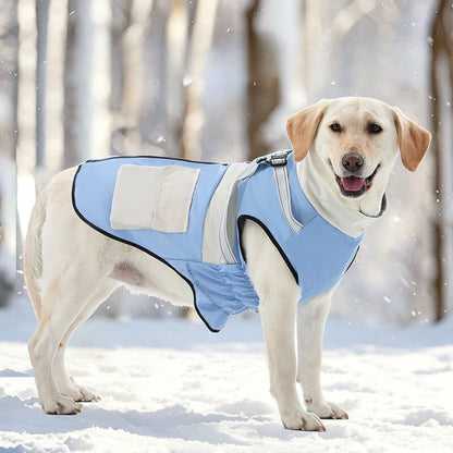 Ozzie - Walking Panel Dog Traction Vest