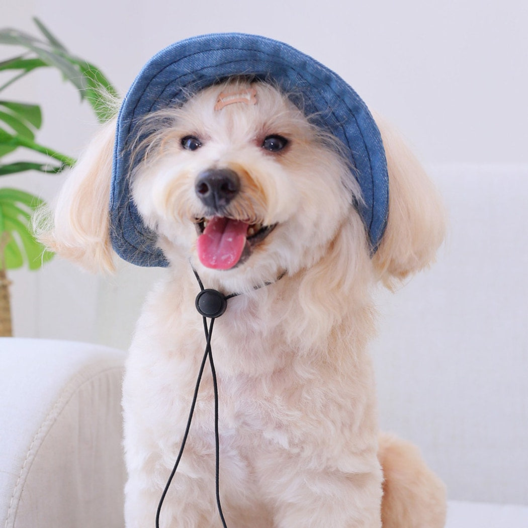 Ozzie - Ear Hole Pet Bucket Hat
