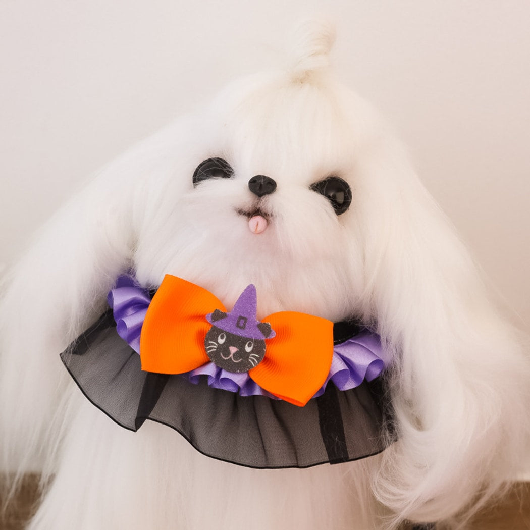 Halloweek - Pumpkin Bow Lace Halloween Pet Collar