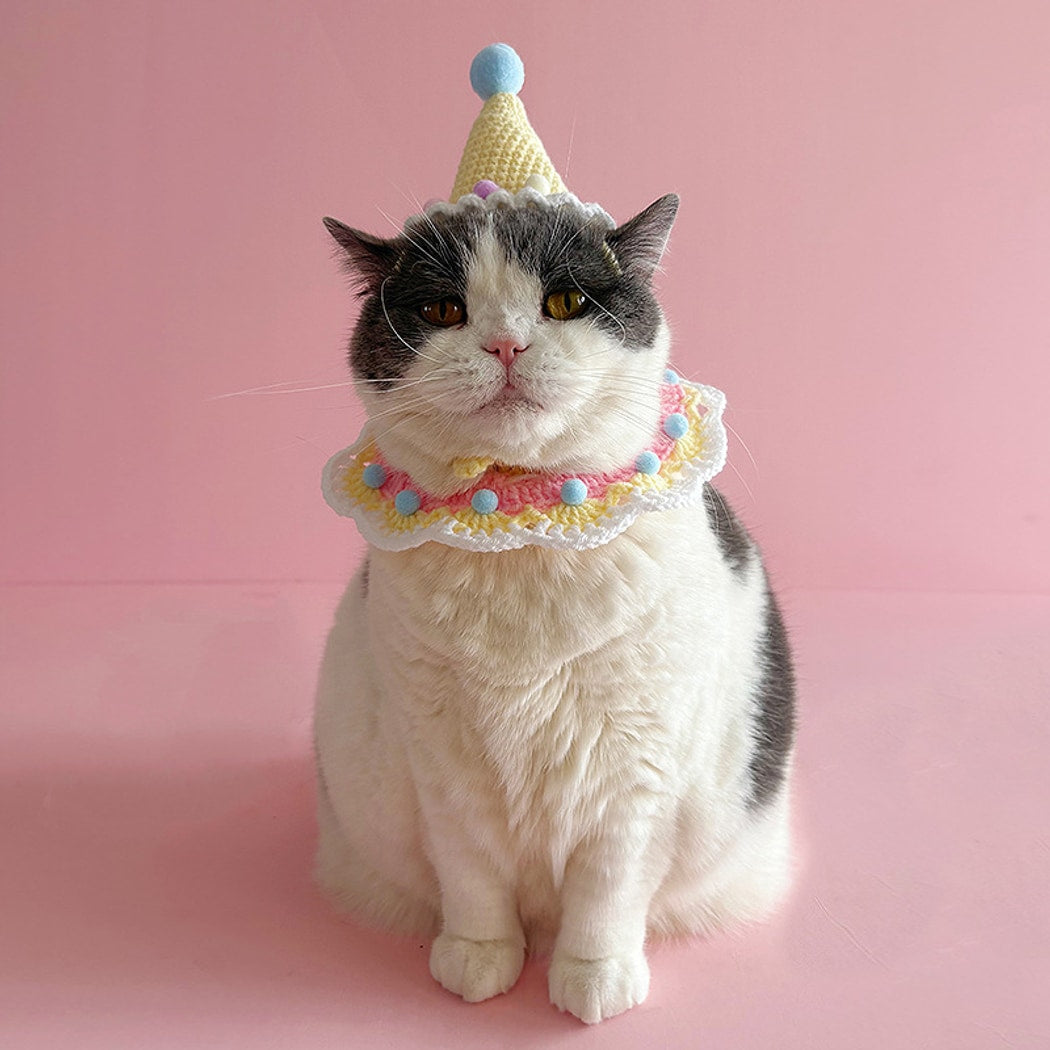 Mokka - Birthday Cake Pet Bib and Hat Set
