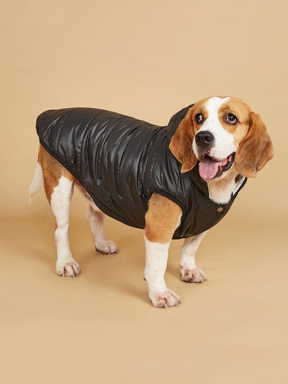 Ozzie – Puffer Hoodie Dog Coat