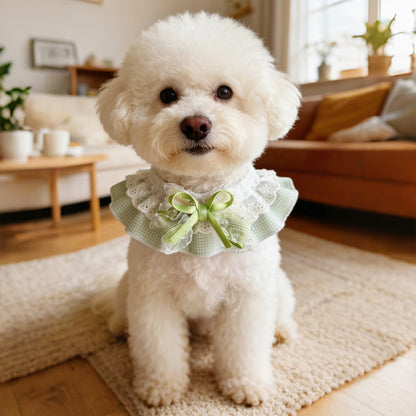 Mokka - Decorative Lace Bow Pet Collar