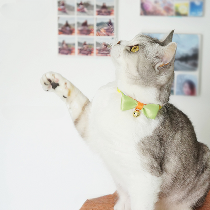 Mokka - Stripe Design Adjustable Collar