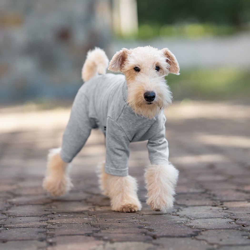 Ozzie - Solid Color Four-Leg Everyday Dog Onesie