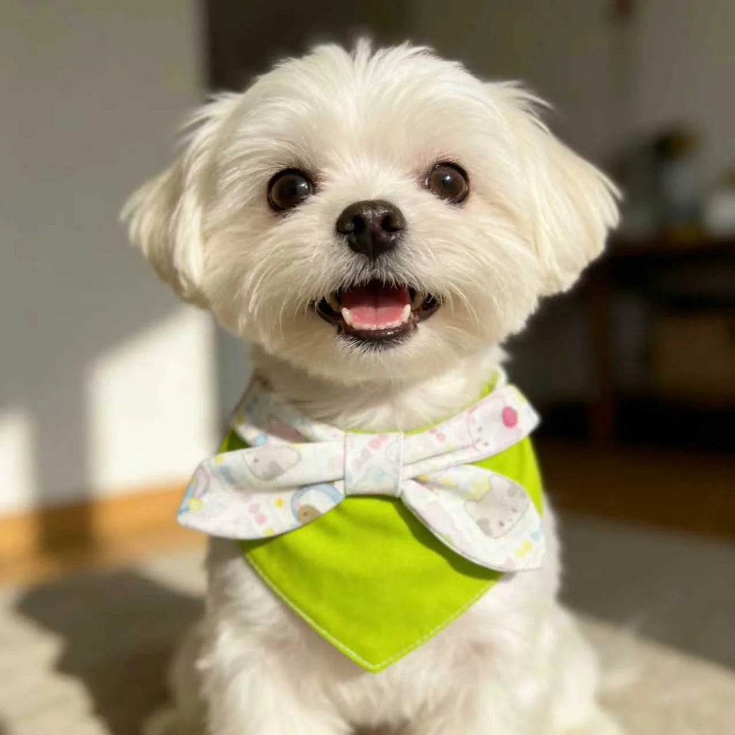 Mokka - Playful Print Pet Bandana Pet Neckwear
