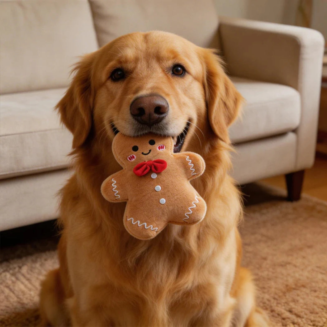 Petkin Gingerbread Man Dog Toy for Play