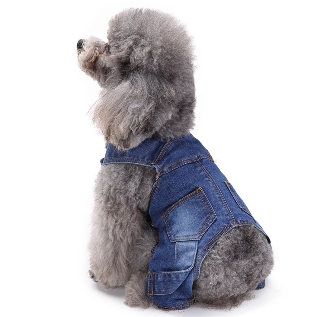 Ozzie - Button Denim Look Dog Apparel