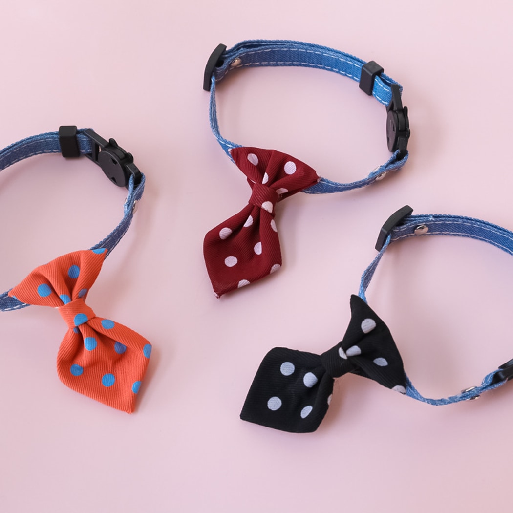 Mokka - British Style Polka Dot Bell Cat Collar