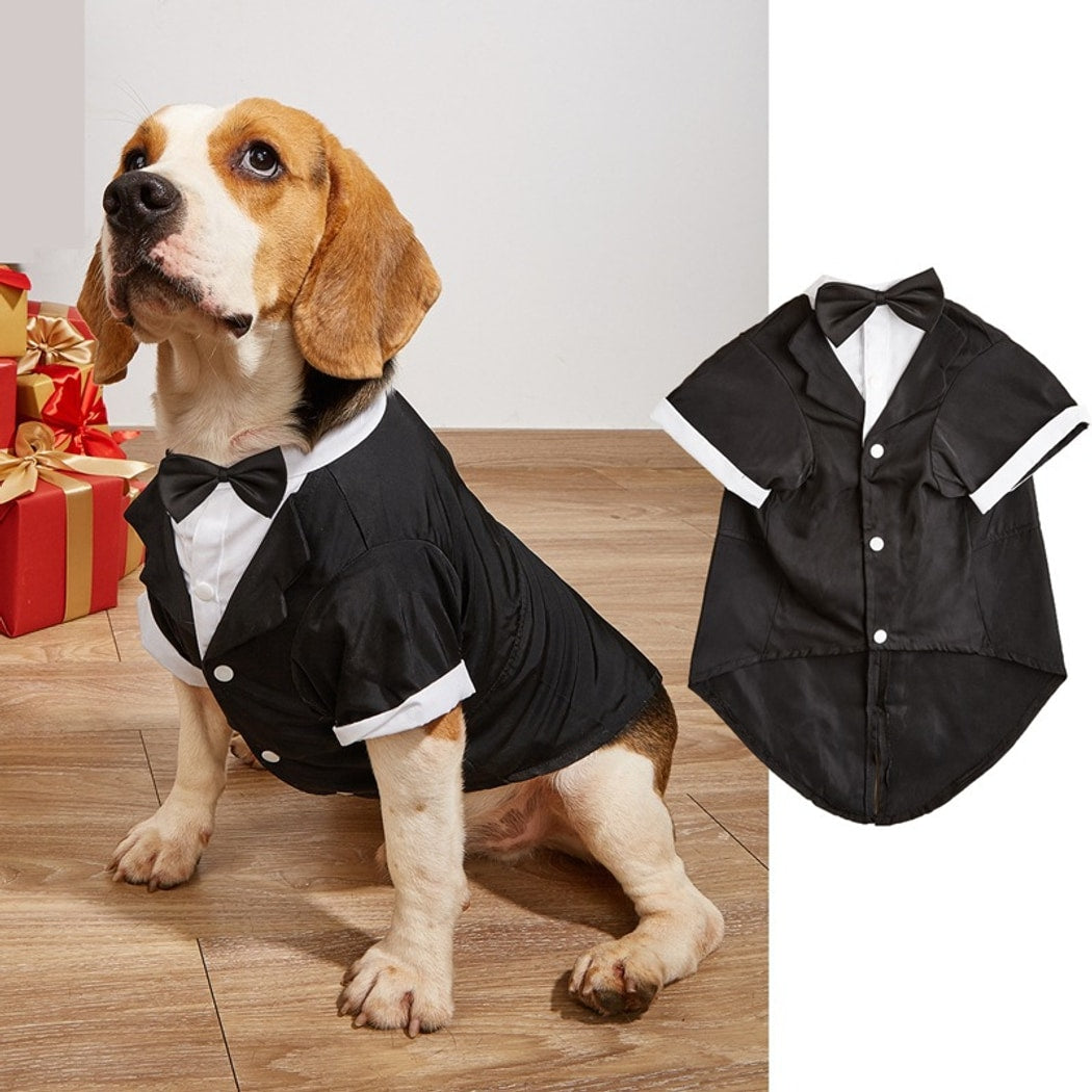 Ozzie - Formal Button Front Dog Shirt Suit Outfit