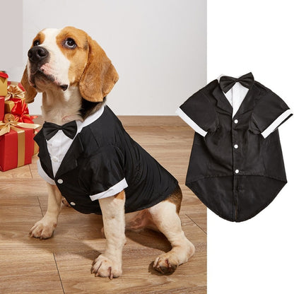 Ozzie - Formal Button Front Dog Shirt Suit Outfit