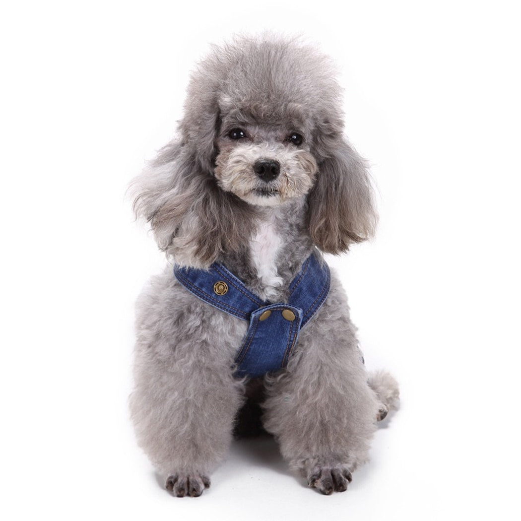 Ozzie - Button Denim Look Dog Apparel