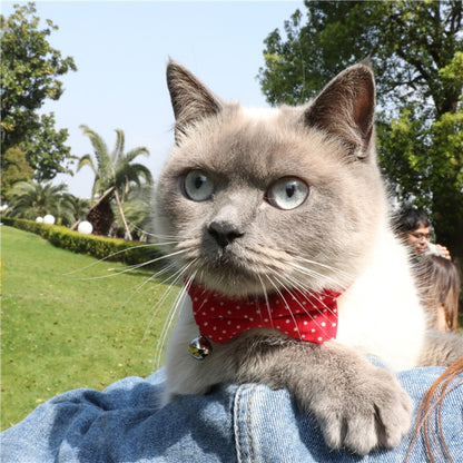 Close-up of Mokka adjustable cat collar featuring a red bow tie with white polka dots