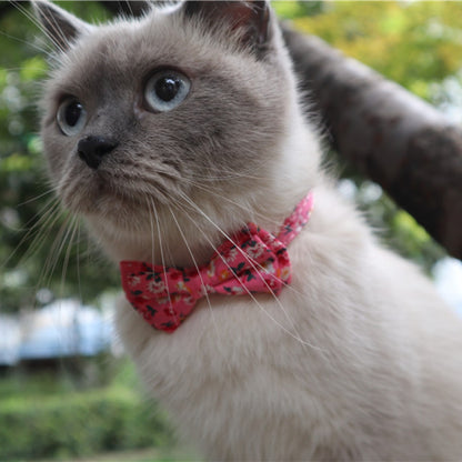 Mokka floral bowtie cat collar with bell view 11