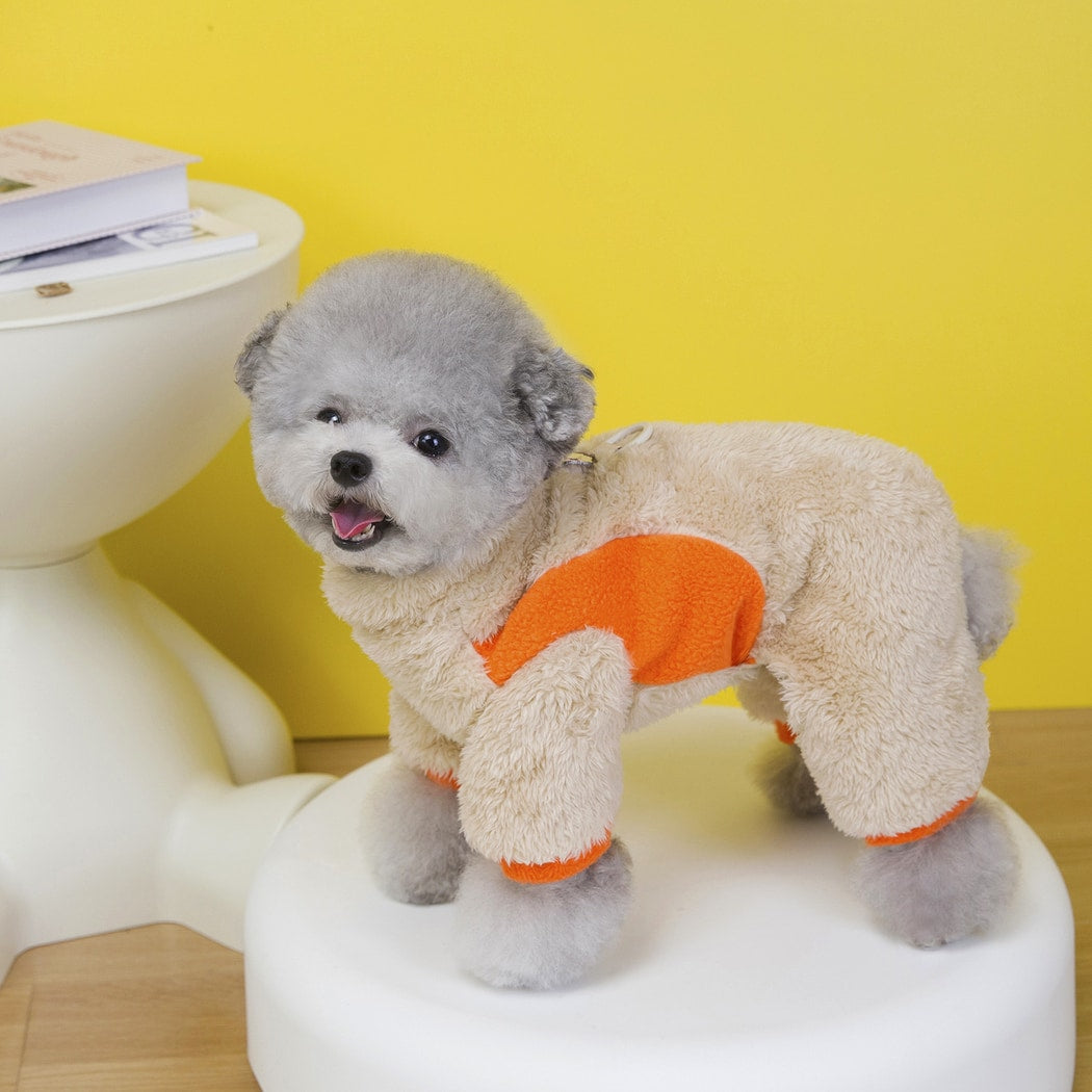 Ozzie - Bear Patch Colorblock Four-Leg Pet Jumpsuit