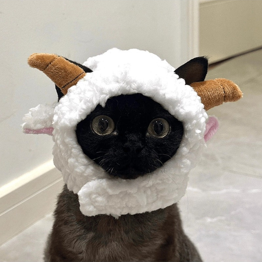 Ozzie goat costume cat hat displayed on a white background
