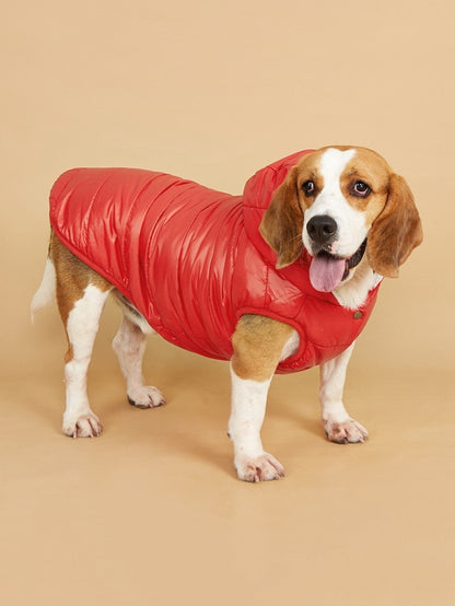 Ozzie – Puffer Hoodie Dog Coat