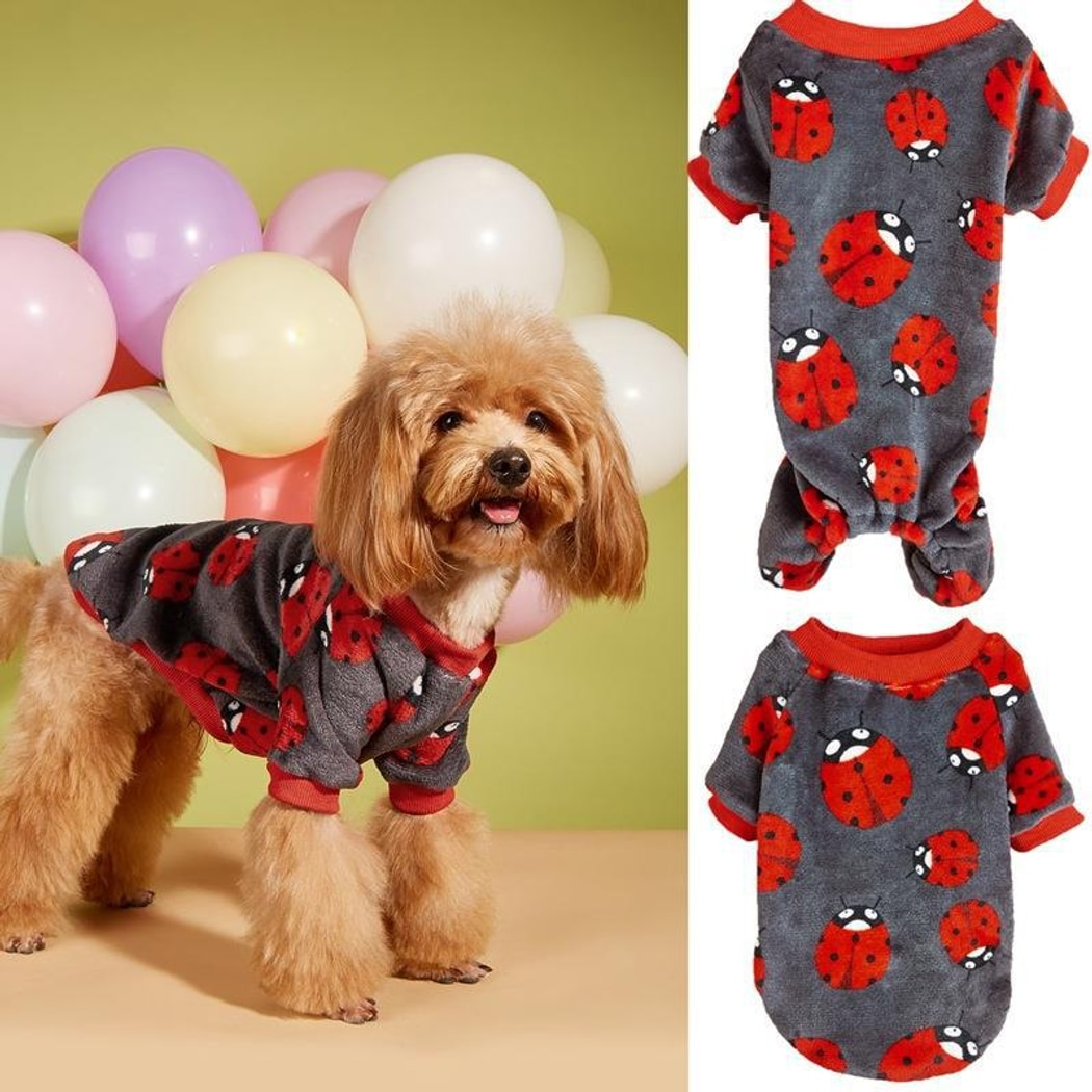 Ozzie - Ladybug Pattern Dog Onesie Style Sweater