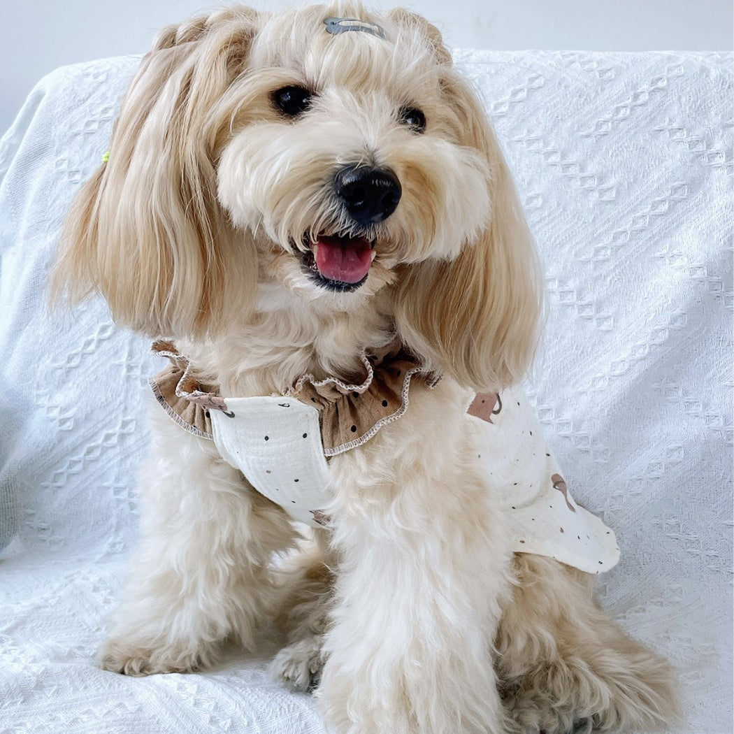 Ozzie - Princess Ruffle Strap Bear Print Pet Dress