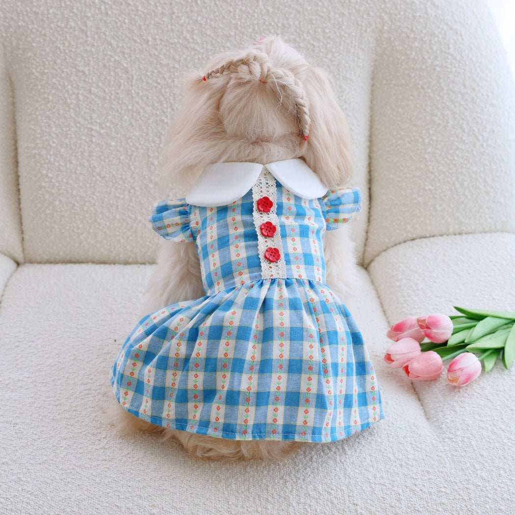 Ozzie - Striped Doll Collar Lace Trim Pet Dress