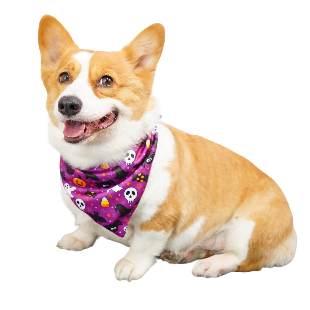 Mokka - Patterned Triangular Bandana Pet Neckwear