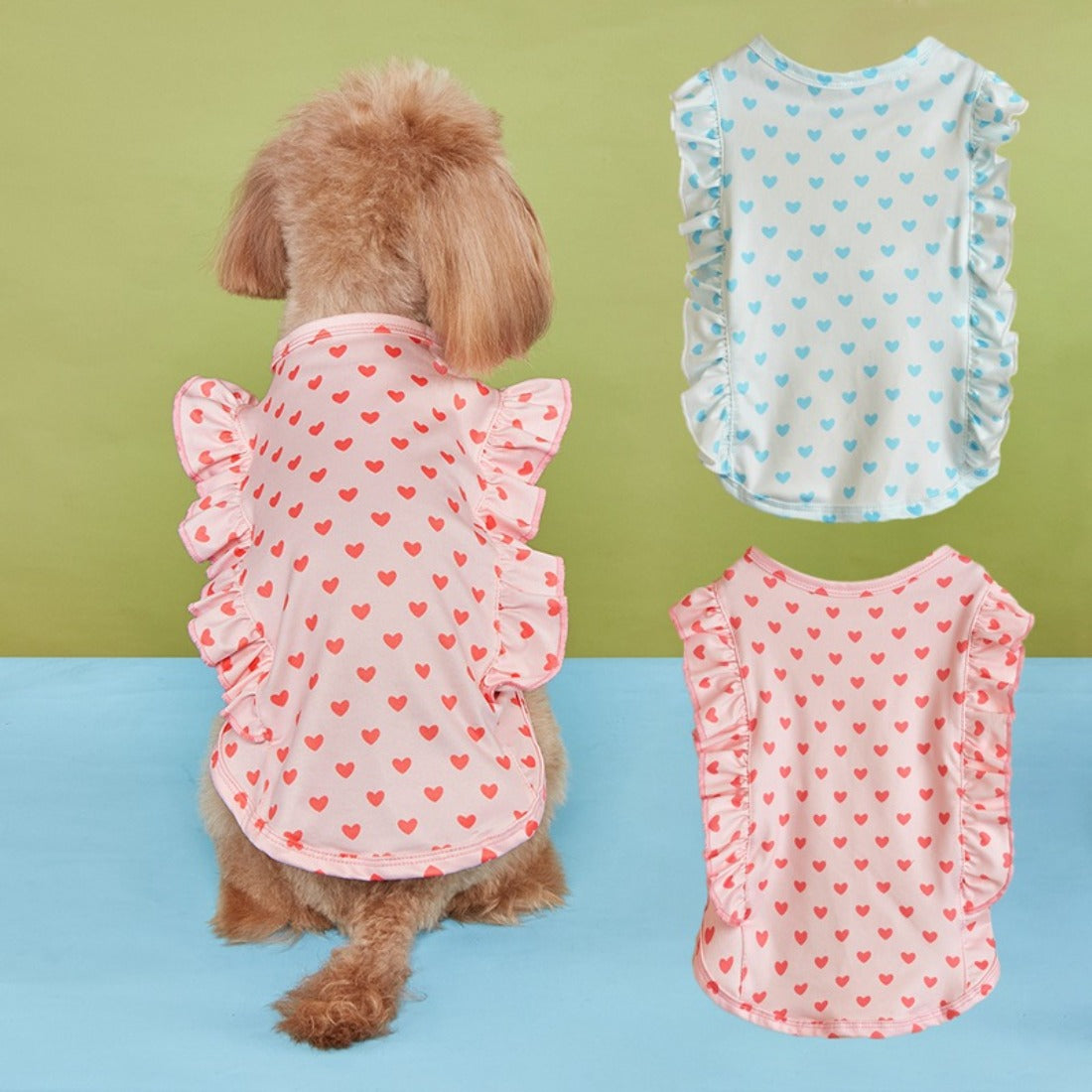 Ozzie dog wearing white t-shirt with red heart print and ruffle sleeves, standing on wooden floor