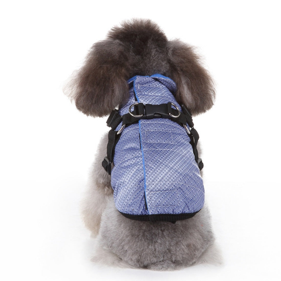 Ozzie - Floral Pattern Small Dog Winter Coat