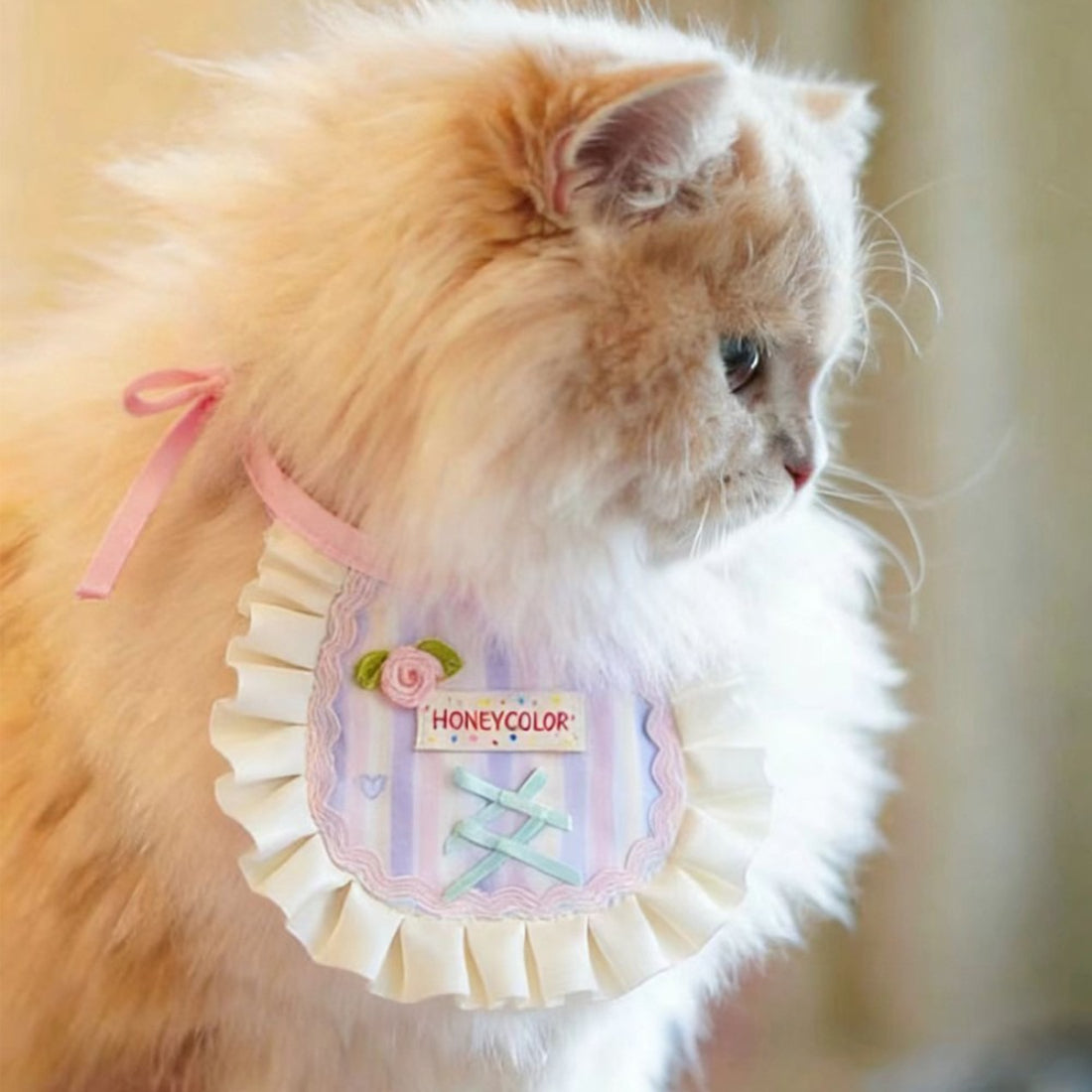 Close-up of the cat face on the pastel apron bib showing embroidered details