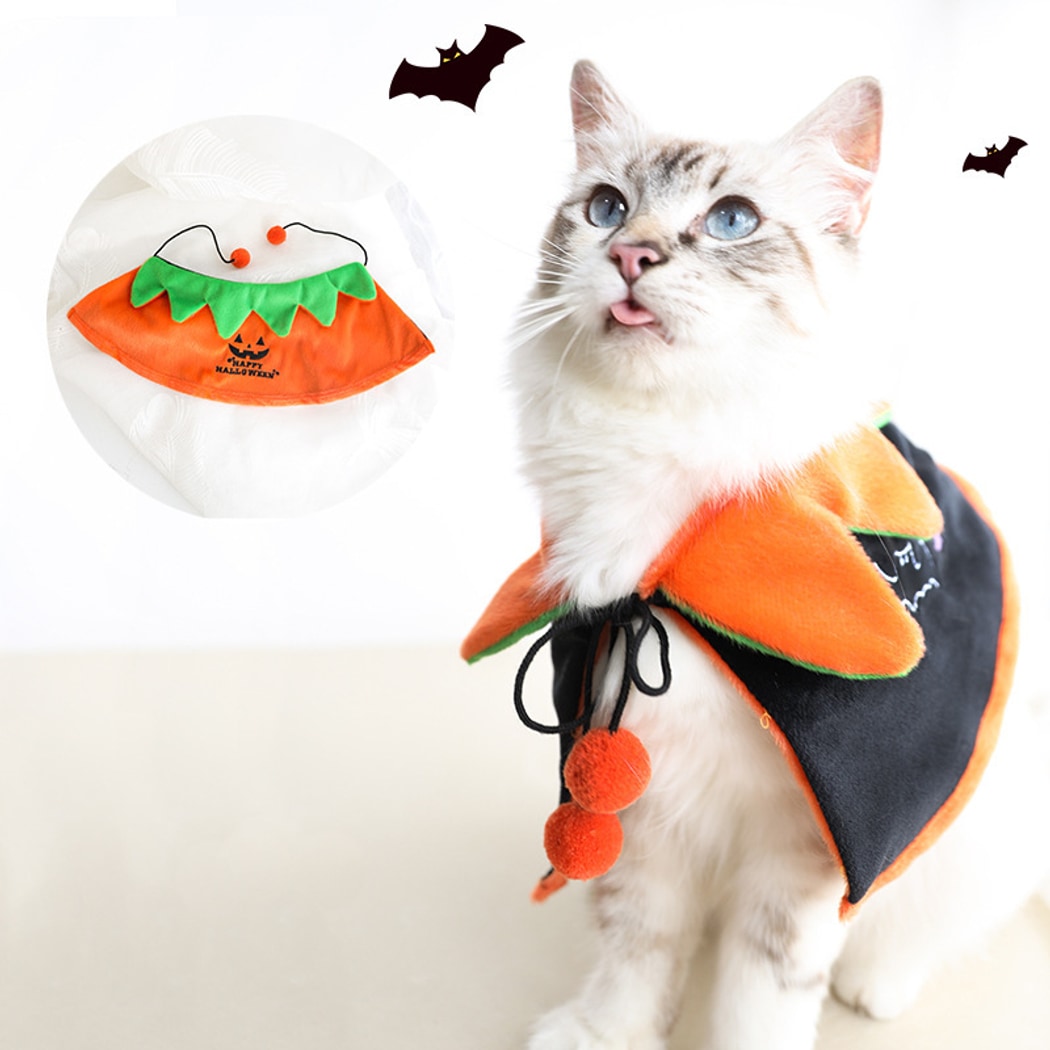 Halloweek - Halloween Pumpkin Graphic Tie Neck Cat Collar