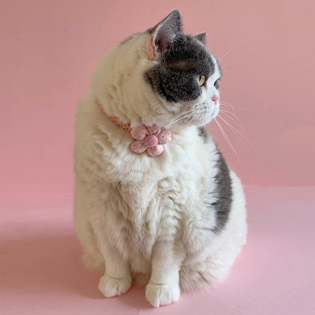 Mokka - Cartoon Floral Detail Adjustable Cat Collar