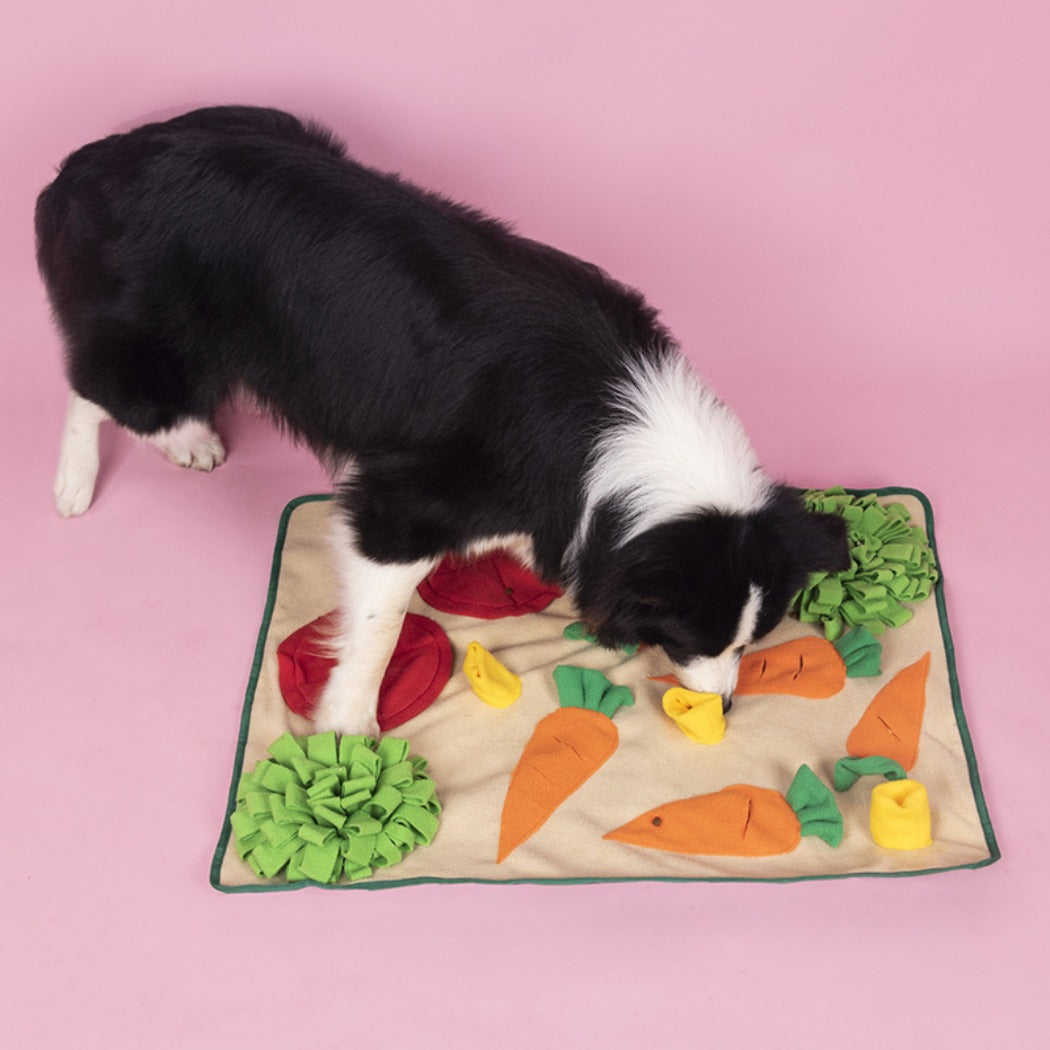 Snuffy - Farm Garden Snuffle Mat