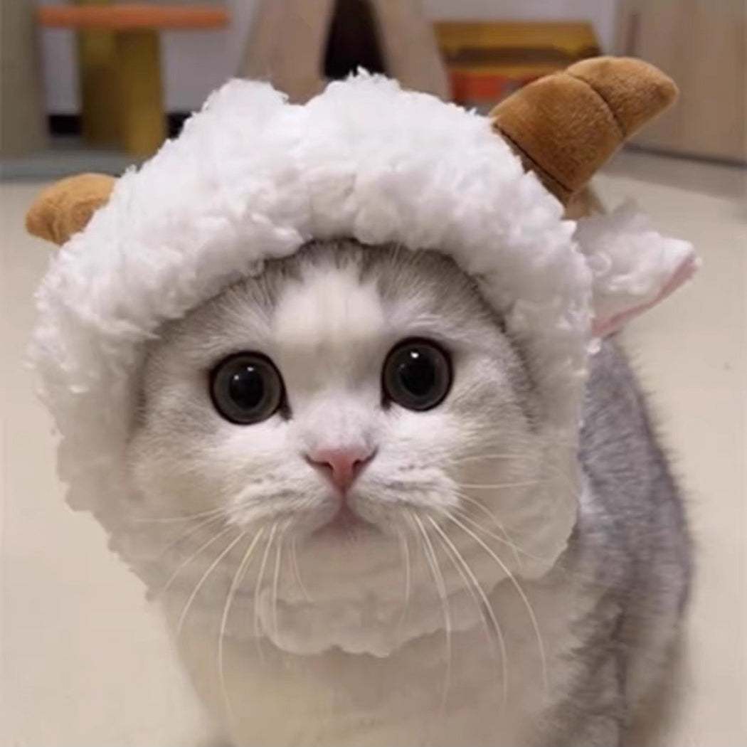 Close-up of Ozzie goat costume cat hat showing goat horns and ears