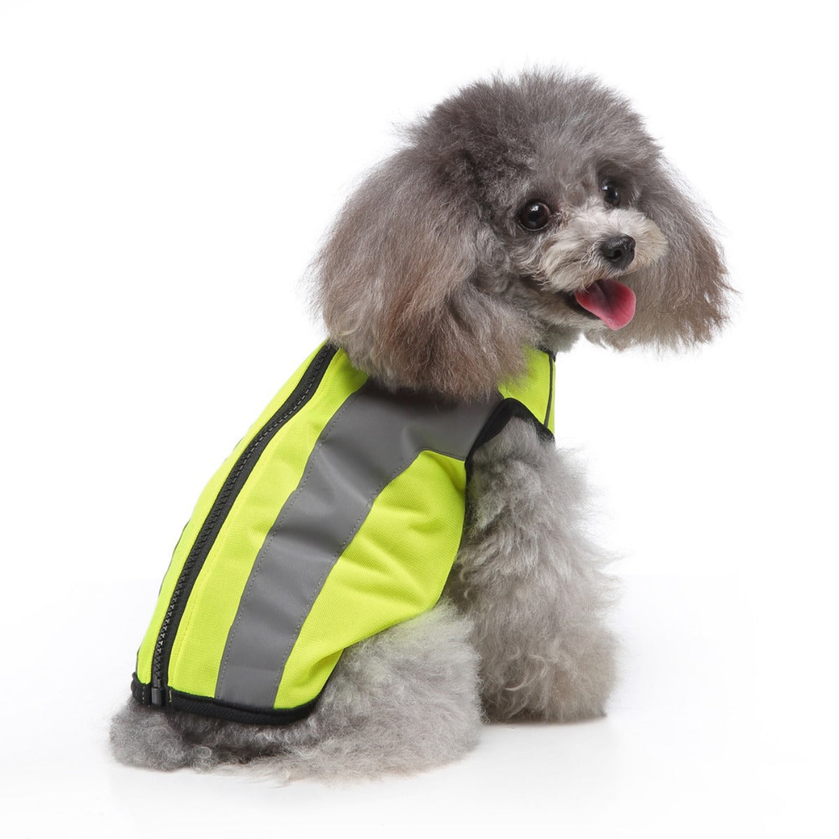 Ozzie - Reflective Safety Vest for Pets