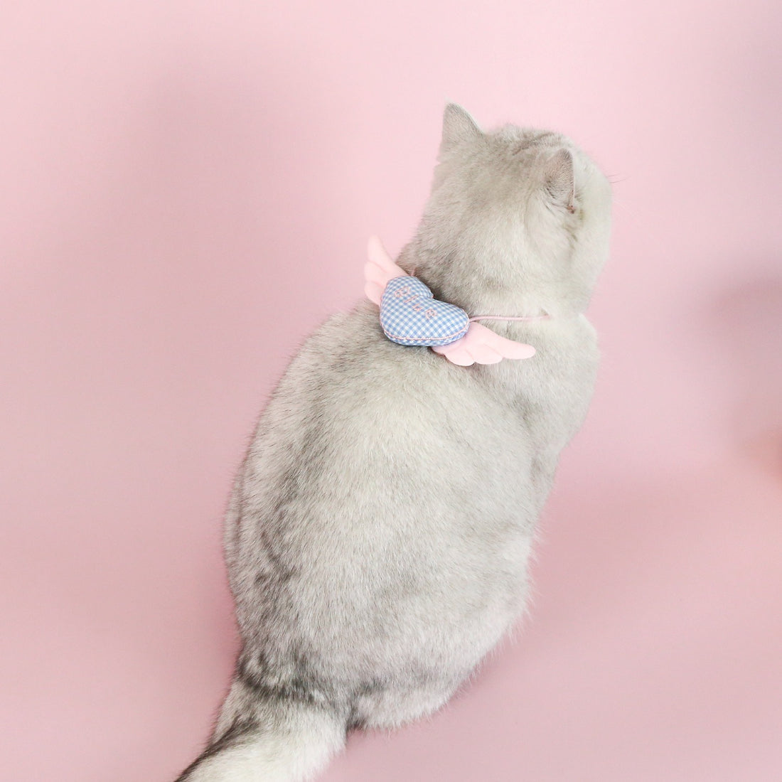 Side view of Mokka cat collar featuring winged heart charm on a plain surface