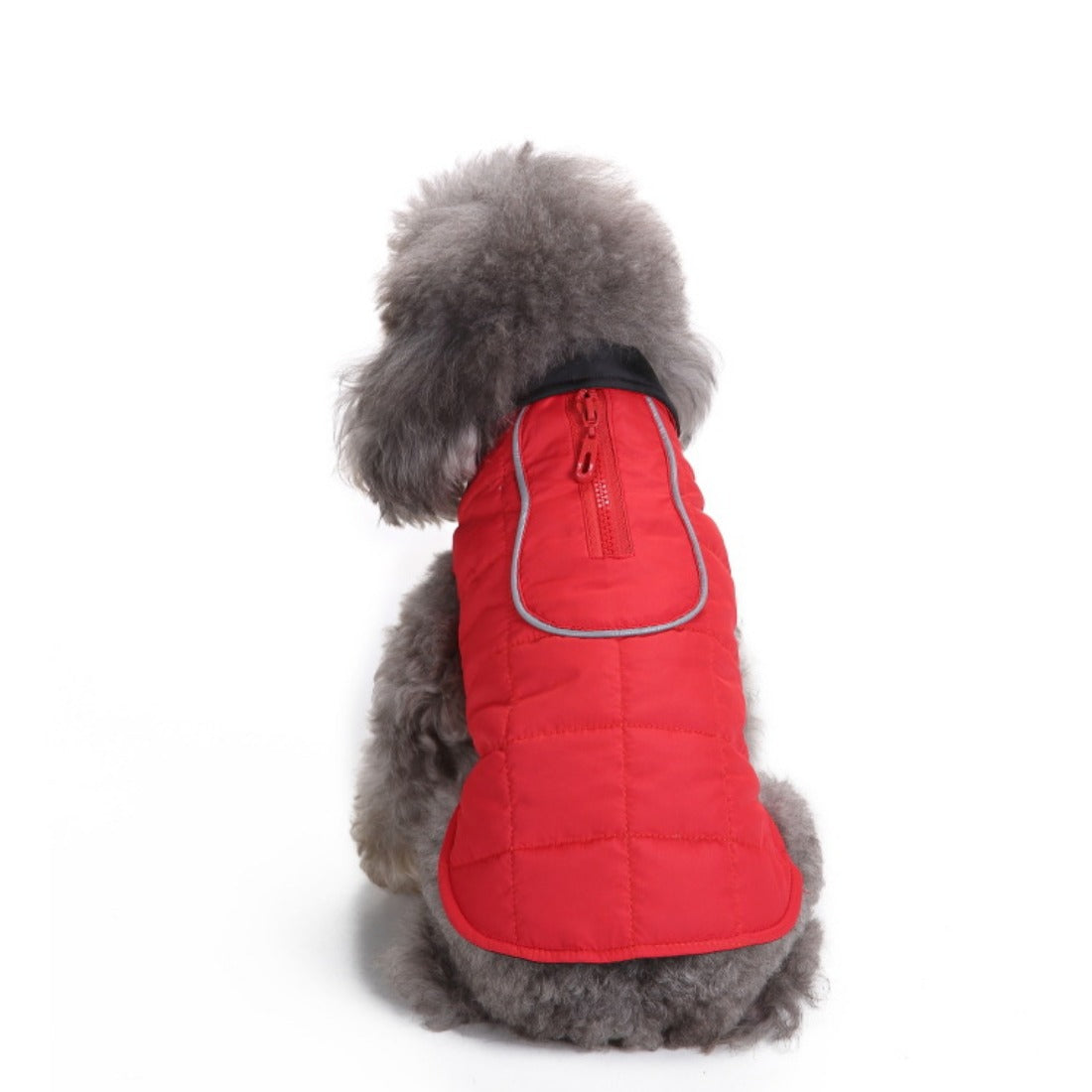 Ozzie - Solid Color Small Dog Winter Coat