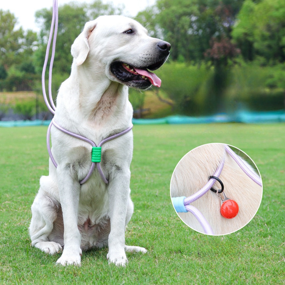 Loofie - Multi-Functional Colorful Pet Leash