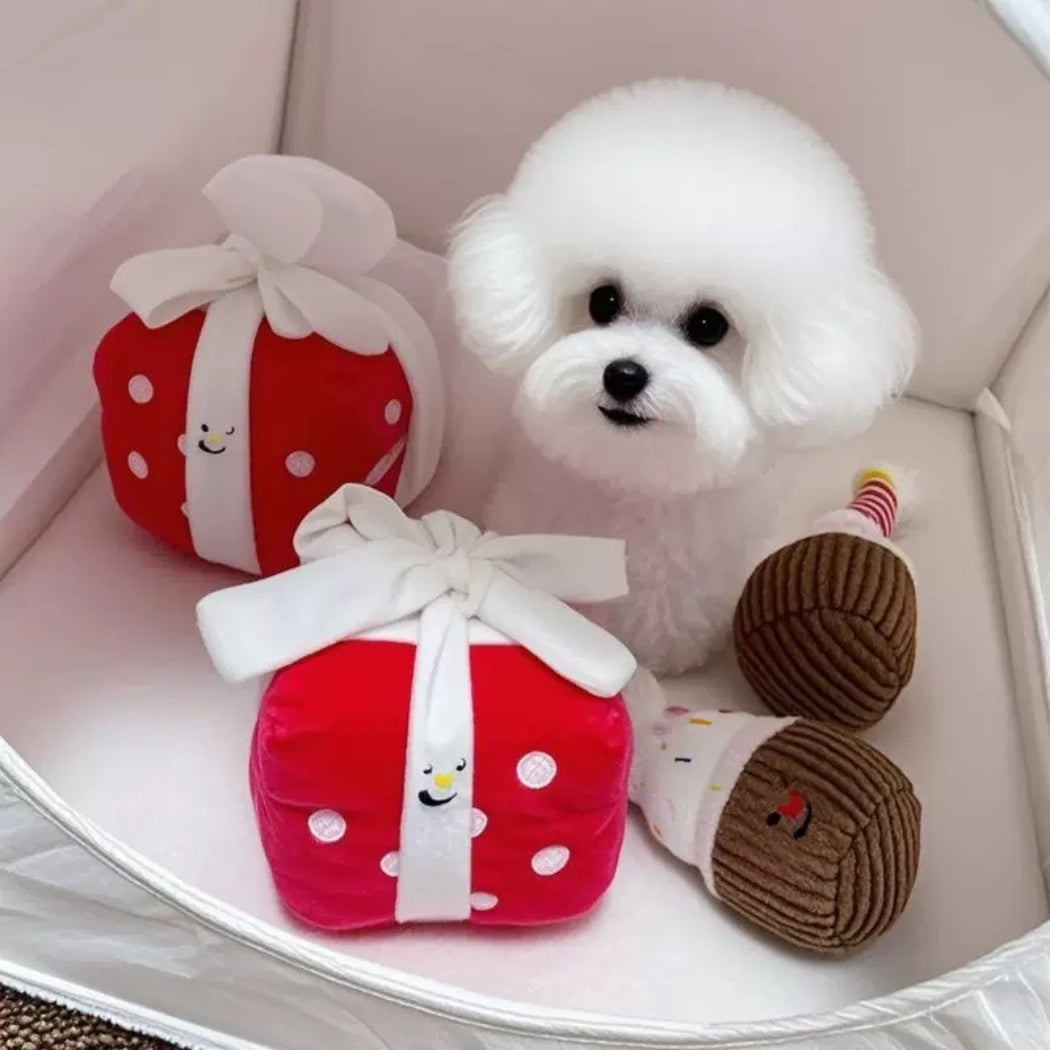 Petkin - Birthday Cupcake and Gift Box Plush Dog Toy
