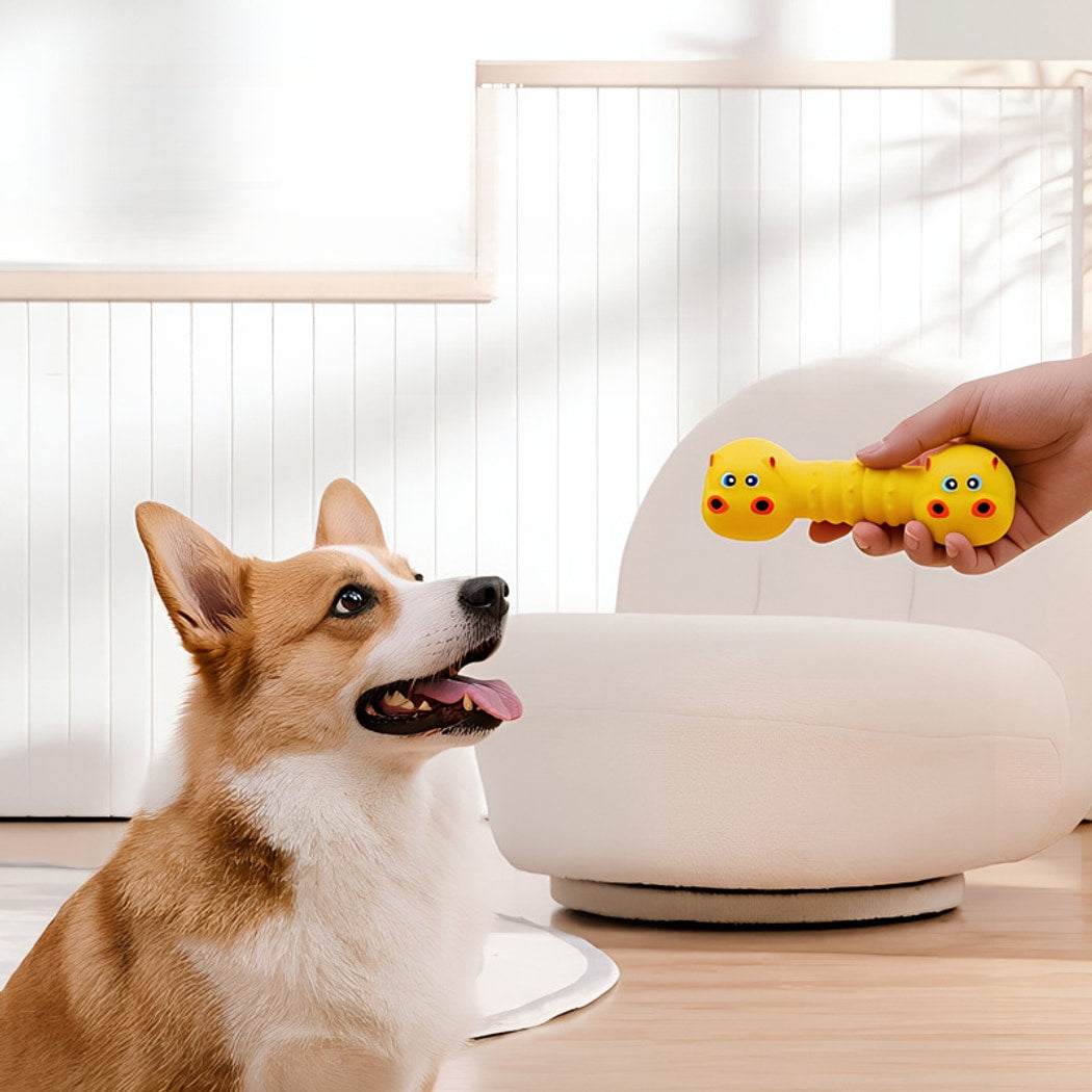Petkin - Cartoon Barbell Squeaky Play Dog Toy