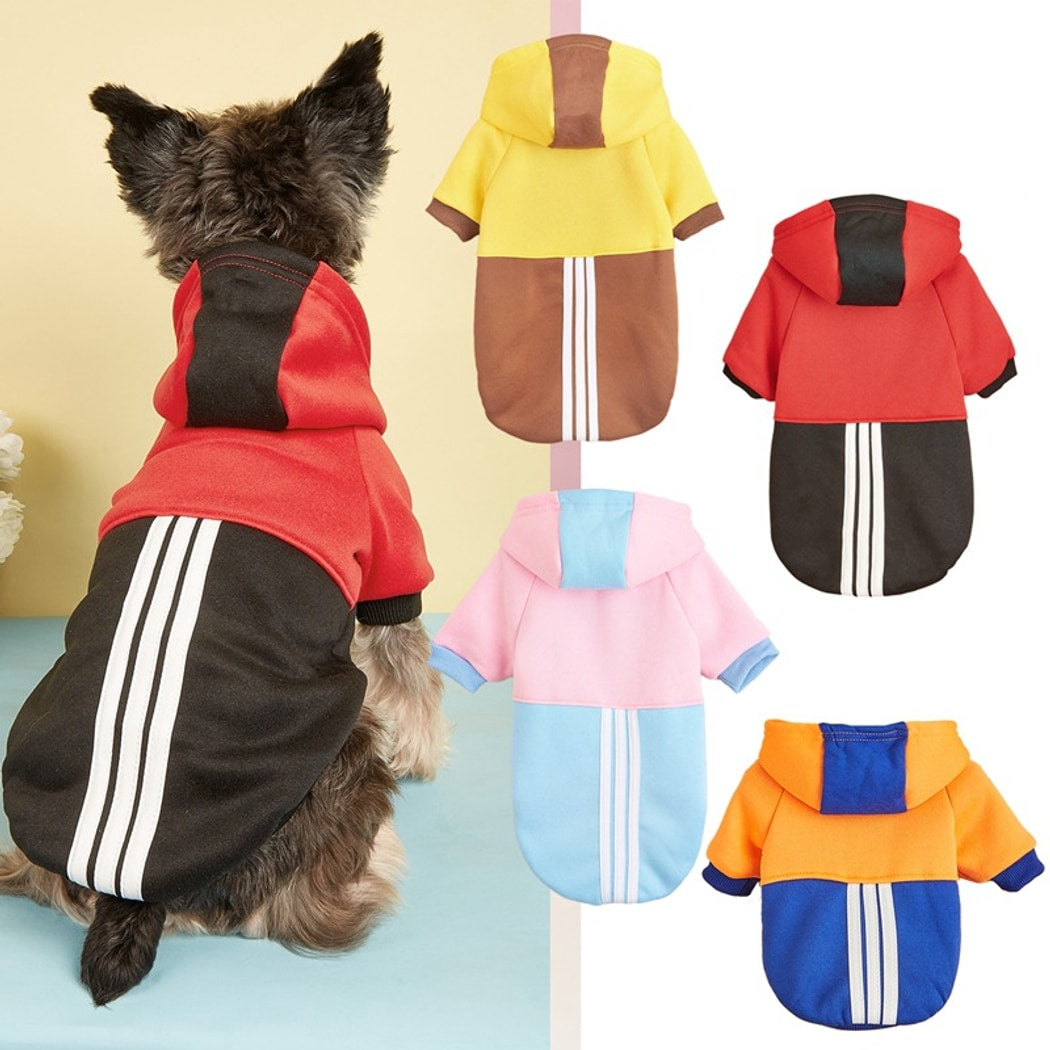 Ozzie - Baseball Style Hooded Small Dog Sweatshirt