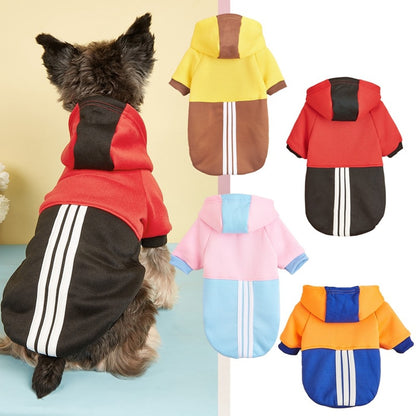 Ozzie - Baseball Style Hooded Small Dog Sweatshirt
