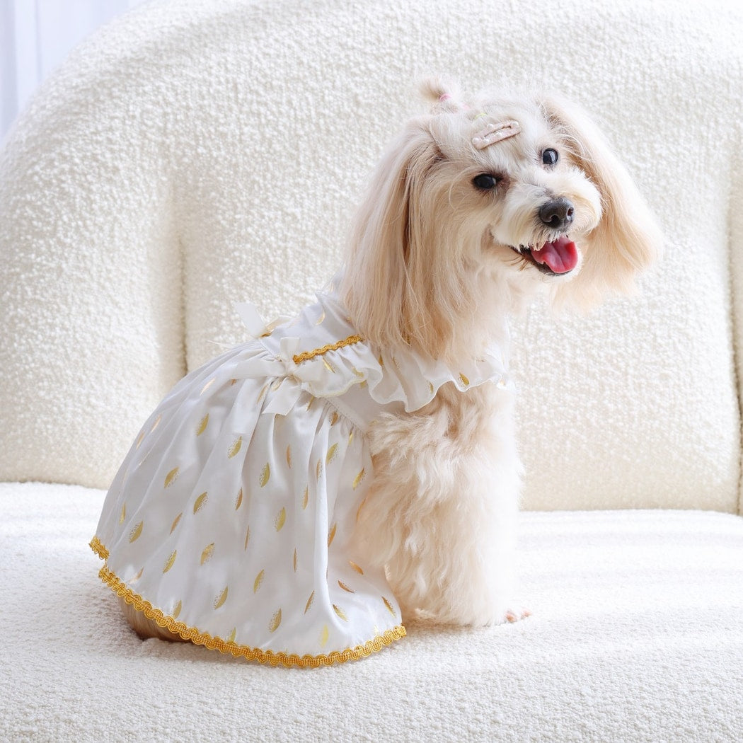 Ozzie - Bow Trim Pet Dress for Cats and Dogs Dress