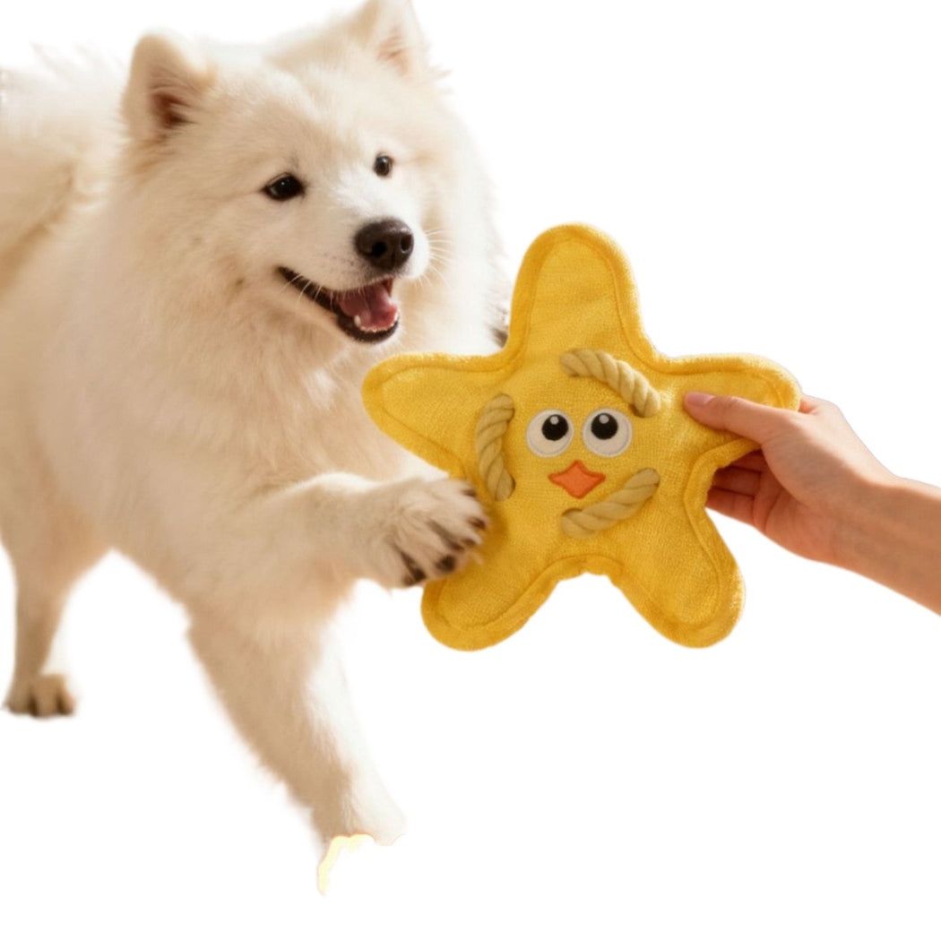 Petkin - Cartoon Face Star-Shaped Plush Dog Toy