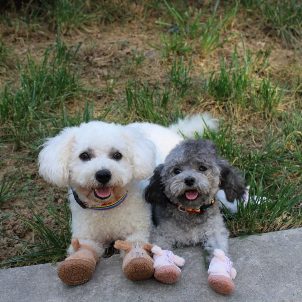 Ozzie - Cozy Winter Dog Boots