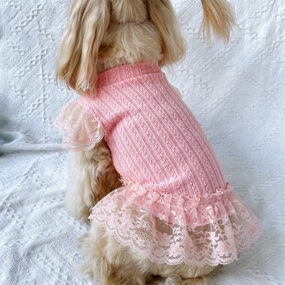 Ozzie - Casual Lace Trim Cat and Dog Pet Dress