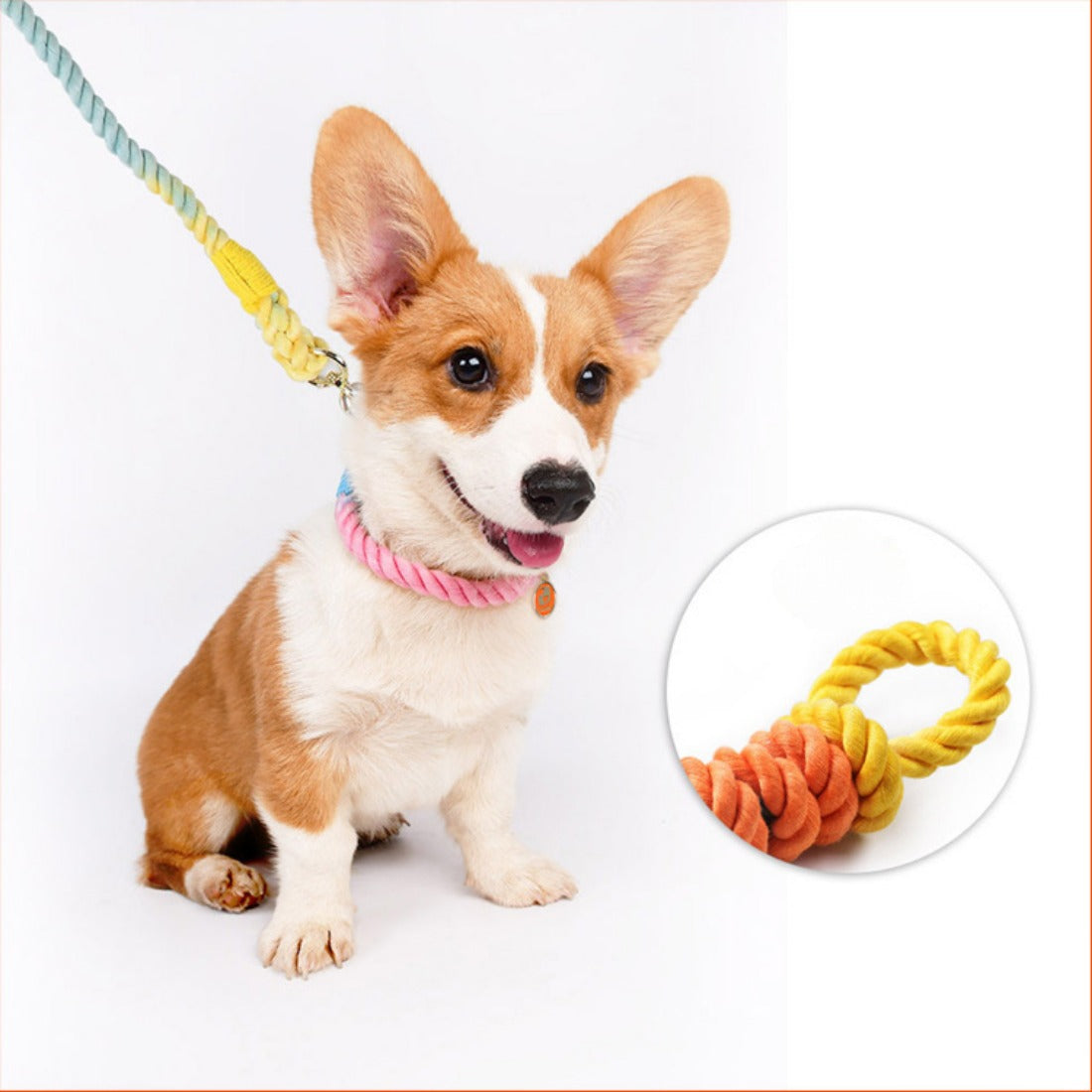 Loofie - Colorful Adjustable Collar with Chain for Medium and Large Dogs