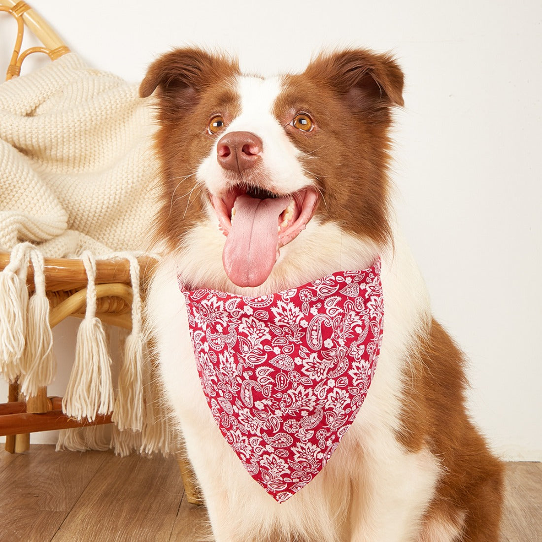 Furbud - Classic Paisley Dog Bandana