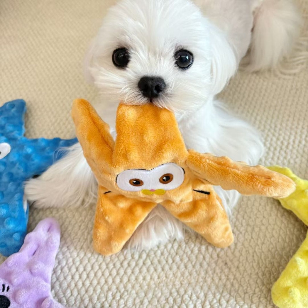 Petkin - Starfish Character Interactive Squeaky Dog Toy