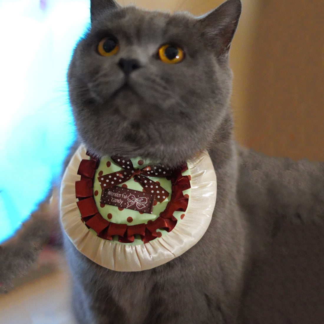 Polka dot bow cat bib displayed flat on a white background