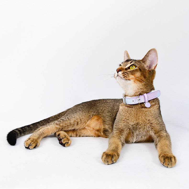 Mokka - Plant Leather Gradient Cat Collar